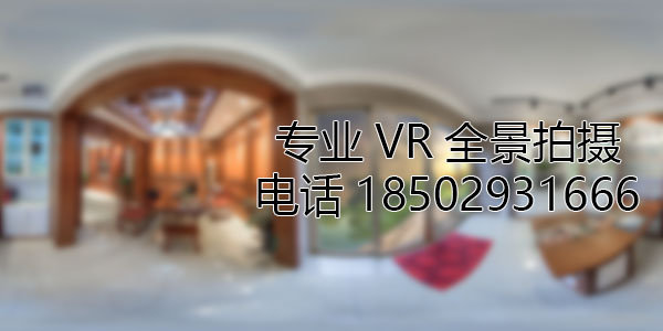 谢家集VR全景技术在未来可能的发展方向和应用领域?
